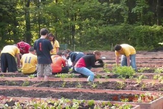Fulton Farm - A Youth Engaged Public-Private Project