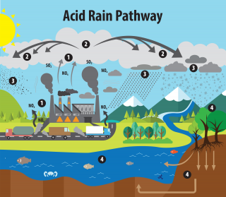 This image illustrates the pathway for acid rain in our environment.