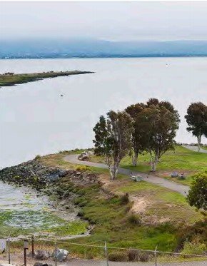 Landscape photograph of park with paved trail on shoreline of San Francisco Bay