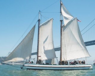 Photograph of an old-style white sailboat sailing beneath the Oakland Bay Bridge