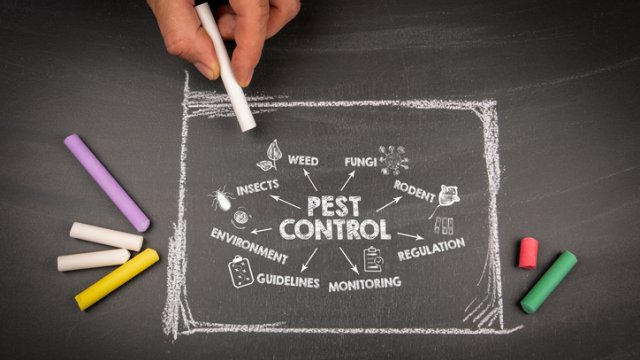 the words "pest control" written on a chalkboard