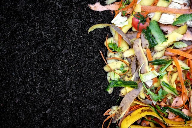 Biodegradable kitchen waste on rich, black soil.