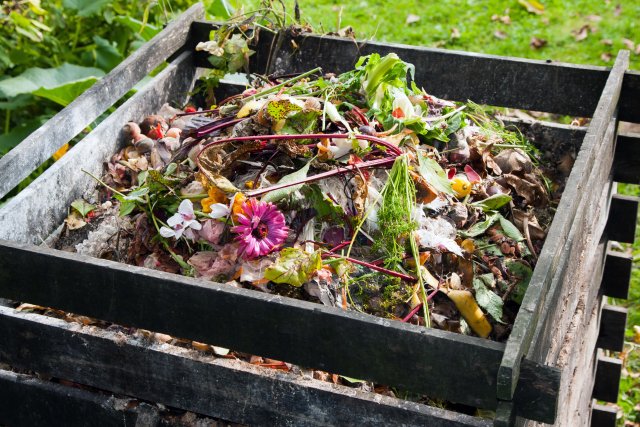 this is a wooden bin with food scraps in it for composting