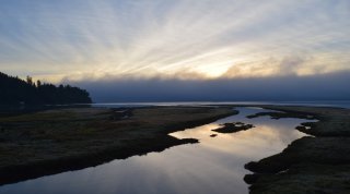 This is a picture of Grand Bay National Estuary and shows a river running through green marsh with the sun setting in the background