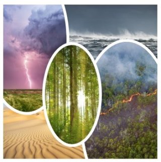Image shows five stock photographs in an overlaid ensemble, where each image reflects a source of natural emissions that is considered by CMAQ: lightning, sea spray, wildfire, soil dust, and vegetation.