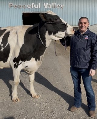 EPA Regional Administrator Mike Martucci standing next to a Peaceful Valley dairy cow.