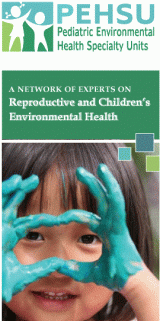 Preview of the PEHSU brochure including an image of a child.
