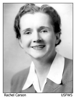 Rachel Carson Rachel Carson