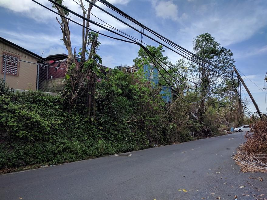 Downed powerlines in a San Juan residential area, October 7, 2017.