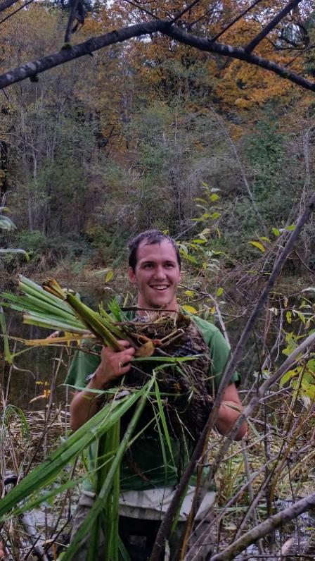 Green River College environmental education students are restoring native plant species at Jenkins Creek and Spring Pond in Covington, Washington.