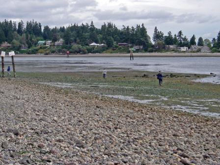 Beachgoers walking near the EPA Wyckoff-Eagle Harbor Superfund cleanup site on Bainbridge Island, Washington