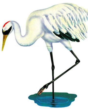 Crane