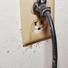 how find outlet How to Find Bed Bugs at Night?