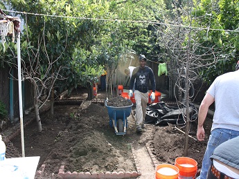 Community cleanup of lead contaminated soil