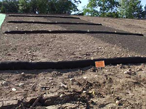 Compost berms and socks with compost blanket and seed.