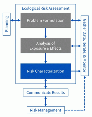 This is a diagram of the 3-phase Ecological Risk Assessment Process, highlighting Risk Characterization (phase 3) which is to use the results of analysis to estimate the risk posed to ecological entities.