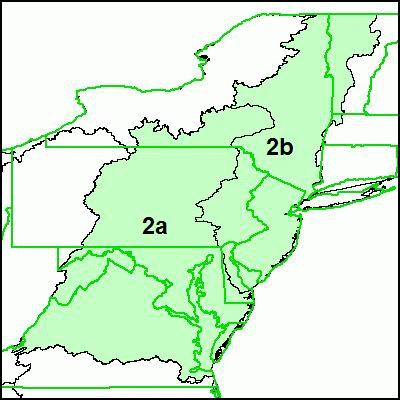 mid-atlantic