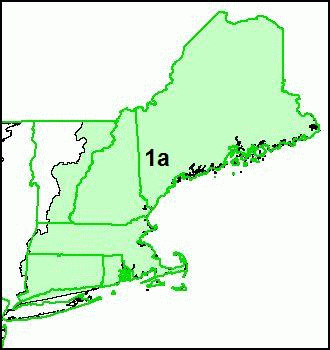 new england