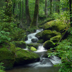 Rivers and streams A river and stream can be defined as. a natural