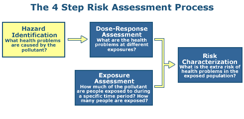 Evaluating different web applications to assess the toxicity of