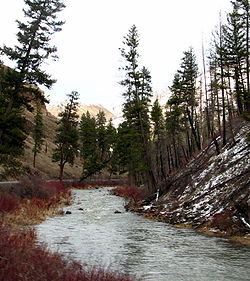 Figure 1. Local sample site.