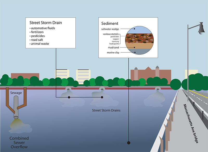 Urban Runoff View