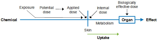 Acute Dermal Toxicity  Department of Toxic Substances Control