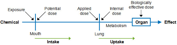 How Do Serious Inhalation Injuries Progress? - Madeksho Law