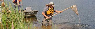 Monitoring initiative grants