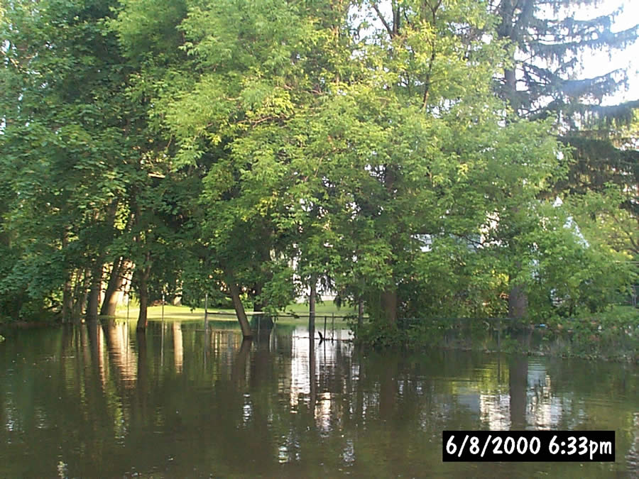 Backyard flooding along Pomery Avenue