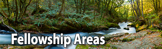 Fellowship Areas