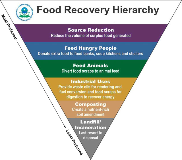 This image shows the food recovery hierarchy. At the top the most preferable method is source reduction, then feed hungry people, then feed animals, then industrial uses, then composting and the least preferred method is landfill and incineration. 