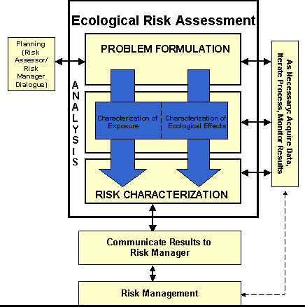 flow chart with components: problem formulation, exposure, effects, risk characterization, data, risk management, discussion with risk managers