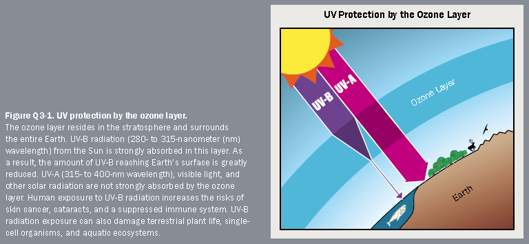 greenhouse effect and ozone layer depletion