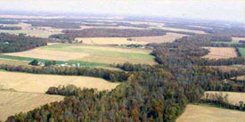 Farmland and wooded areas
