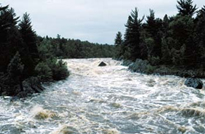 A river