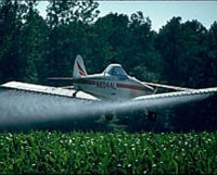 Photo showing a crop duster airplane spraying a field with insecticides.