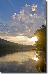 Photo of a lake on a sunny day.