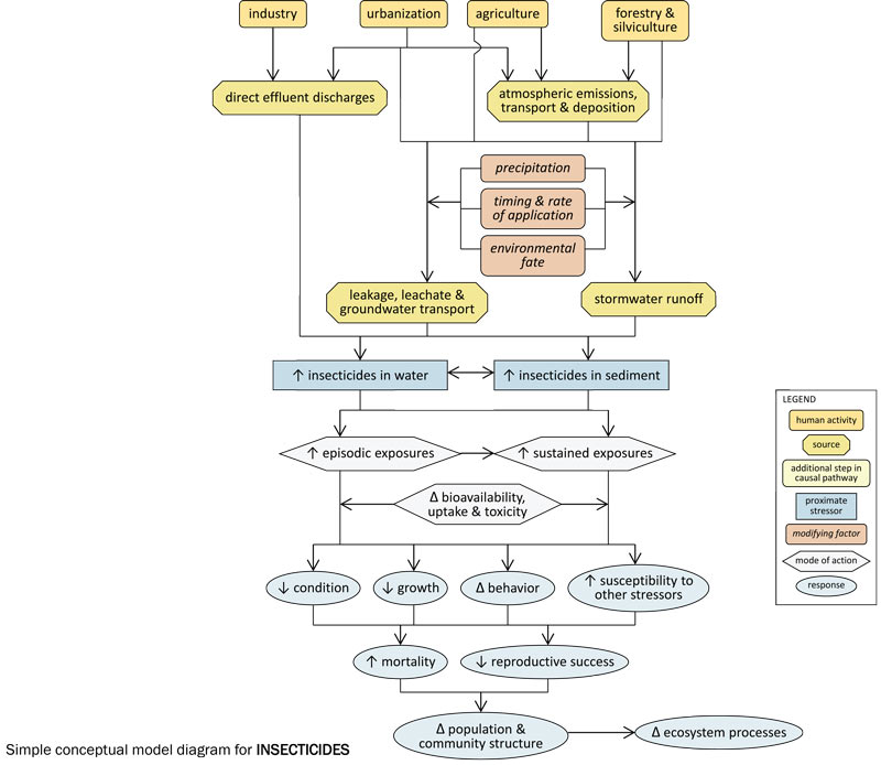 Toxicity pathways. Toxicity pathways describe the processes by