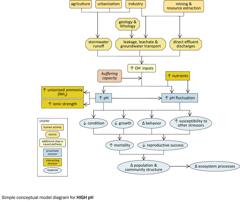 pH Determination, Overview & Methods - Lesson