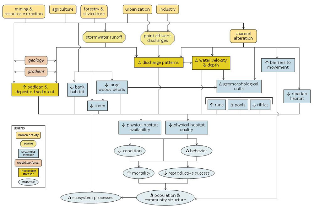 Means (SEs) of stream physical characteristics outside (grazed