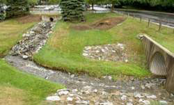 Photo illustrates the effects of urban housing on streams referred to as "urban stream syndrome."