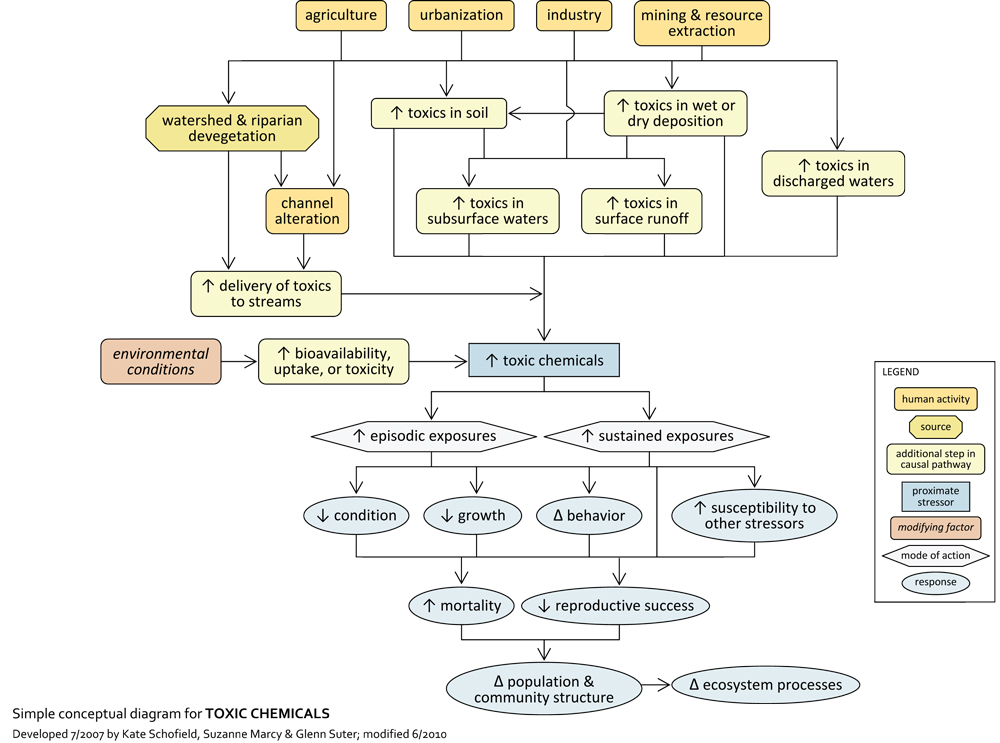 Toxicity pathways. Toxicity pathways describe the processes by