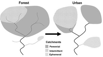 Figure 9. Conceptual representation of how urbanization affects headwater streams in Hamilton County, OH.