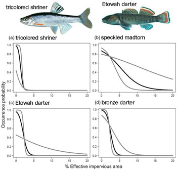 Figure 18. Occurrence probability of four fish species vs. impervious cover. 