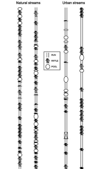 Figure 38. Schematic representation of the run, riffle and pool structure in two natural and two urban streams in southern California