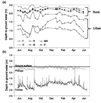 Figure 7. (a) Mean riparian zone groundwater depths, June 2006-June 2007, for six sites varying in catchment impervious area (rural = 3.8-12.4% total impervious area, urban = 22.1-36.7%). (b) Half-hourly riparian zone groundwater depths, over the same per