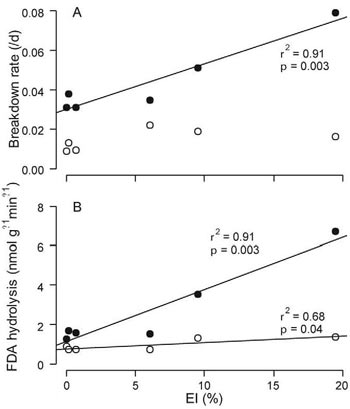 Plots showning A) Pittosporum undulatum (closed circles) and Eucalyptus obliqua (open circles) leaf breakdown rates, and (B) microbial activity in leaves estimated by fluorescein diacetate (FDA) hydrolysis, vs. % effective imperviousness (EI). 