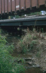 Photo shows an urban creek.