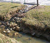 This is a photo of an eroding stream.